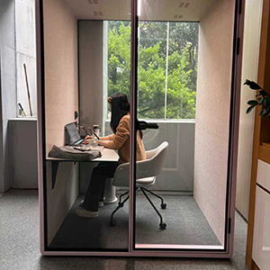 HIGHKA acoustic pods in Client Office